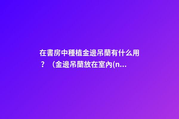 在書房中種植金邊吊蘭有什么用？（金邊吊蘭放在室內(nèi)好嗎）
